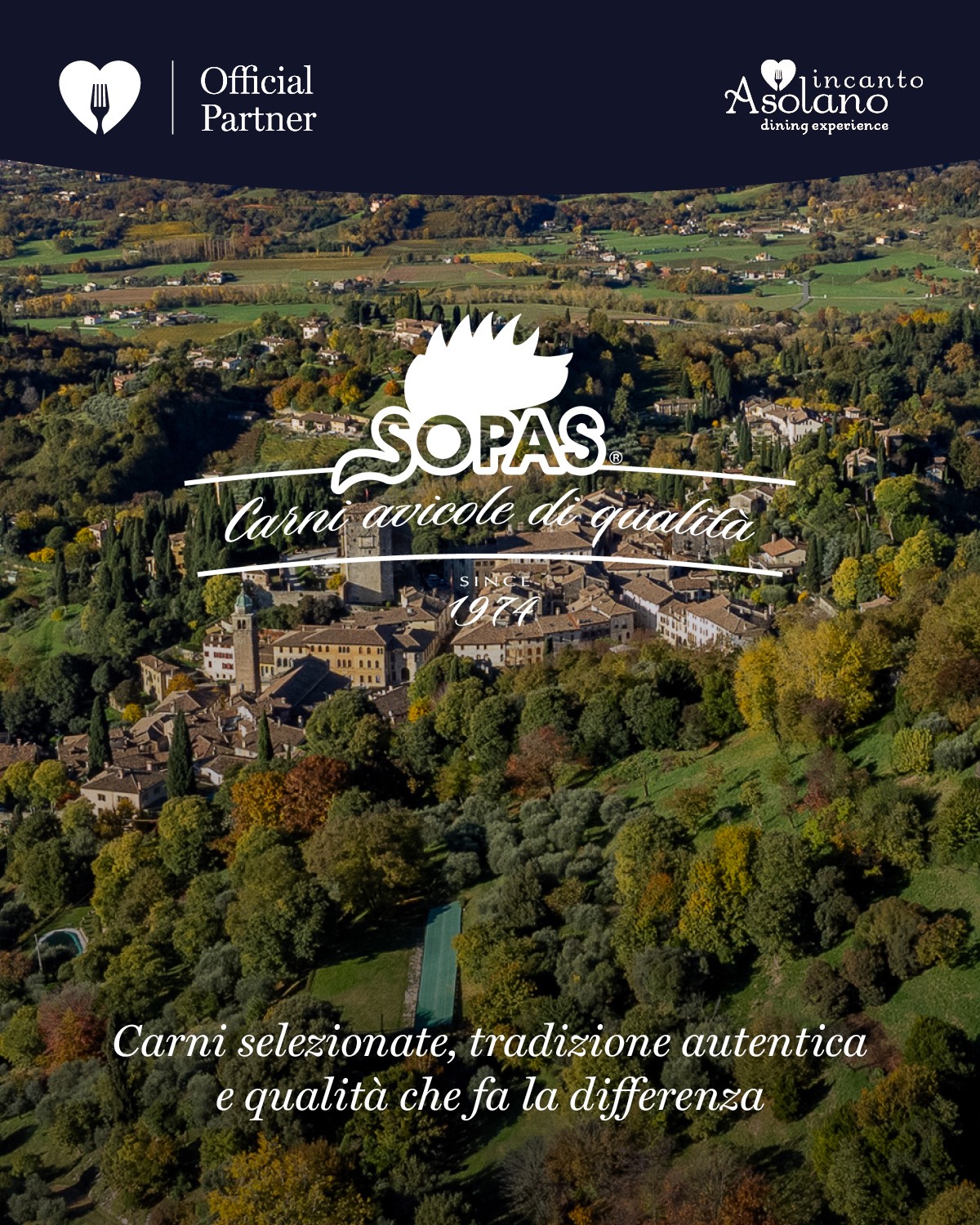 Partner ristorante 6